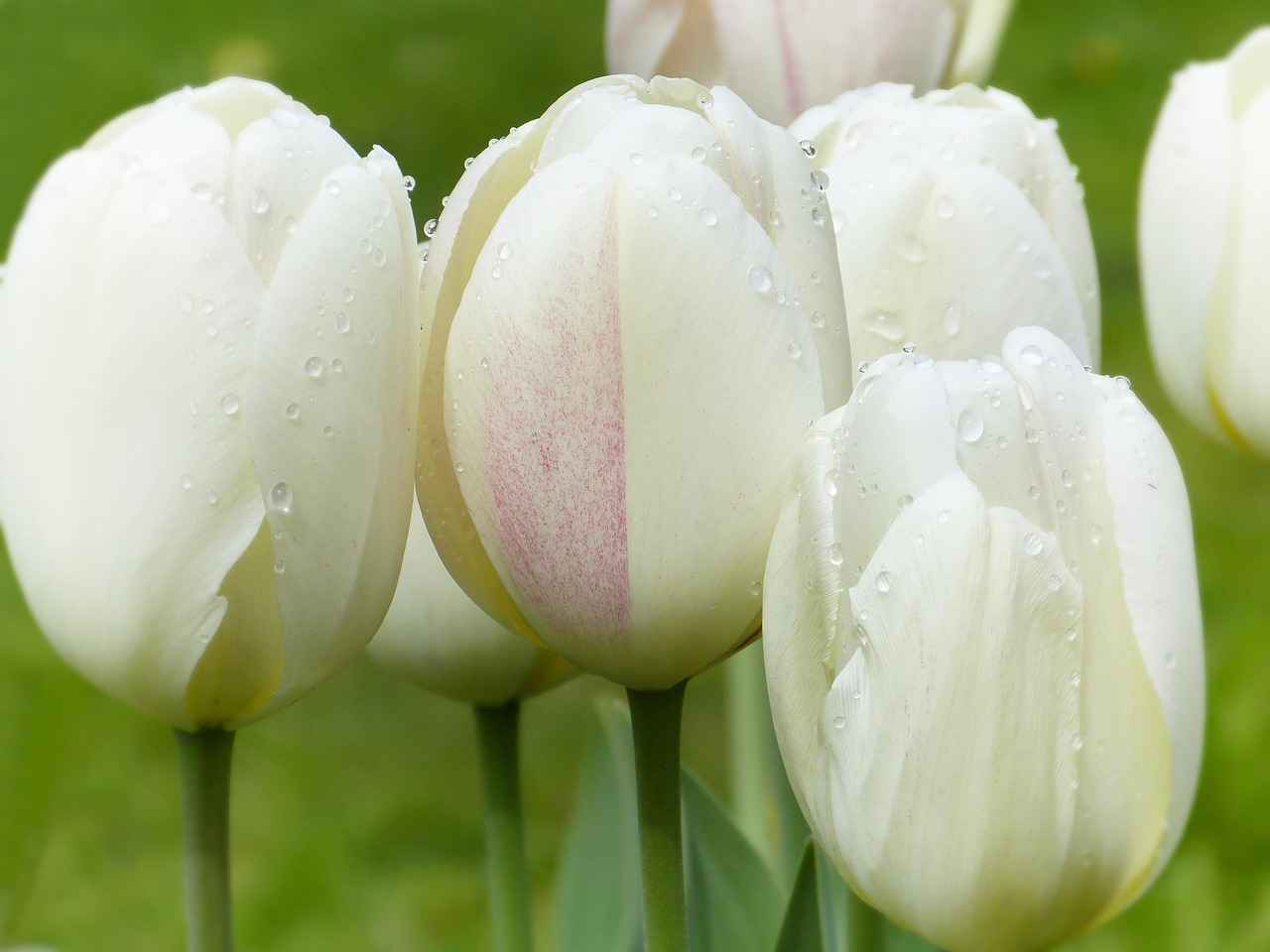 2025 Bed Design Trends You Need to Know About 12 12. Wellness-Centric Designs