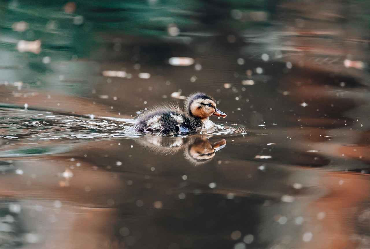 Amazing Bed Design Ideas for Small Apartments and Studios 8 8. Color and Material Choices for Small Beds