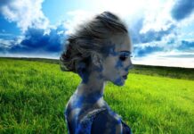 Beautiful & Functional Furniture Double Bed Design for Modern Homes Beautiful & Functional Furniture Double Bed Design for Modern Homes