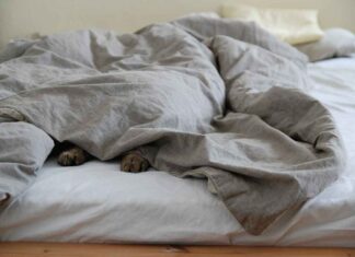 Best Bed Design 2023: Explore New and Trending Styles Best Bed Design 2023: Explore New and Trending Styles