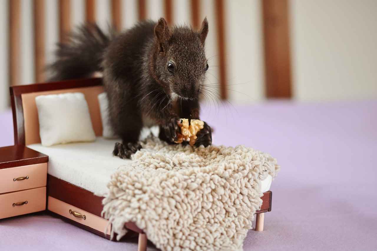 1. Themed Beds for Imaginative Spaces