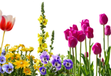 Best Bed Frame Design Inspirations for Durability & Style Best Bed Frame Design Inspirations for Durability & Style