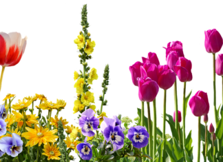 Best Bed Frame Design Inspirations for Durability & Style Best Bed Frame Design Inspirations for Durability & Style