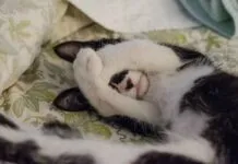 Best Bed Frame Designs for an Elegant and Durable Bedroom Best Bed Frame Designs for an Elegant and Durable Bedroom