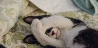 Best Bed Frame Designs for an Elegant and Durable Bedroom Best Bed Frame Designs for an Elegant and Durable Bedroom