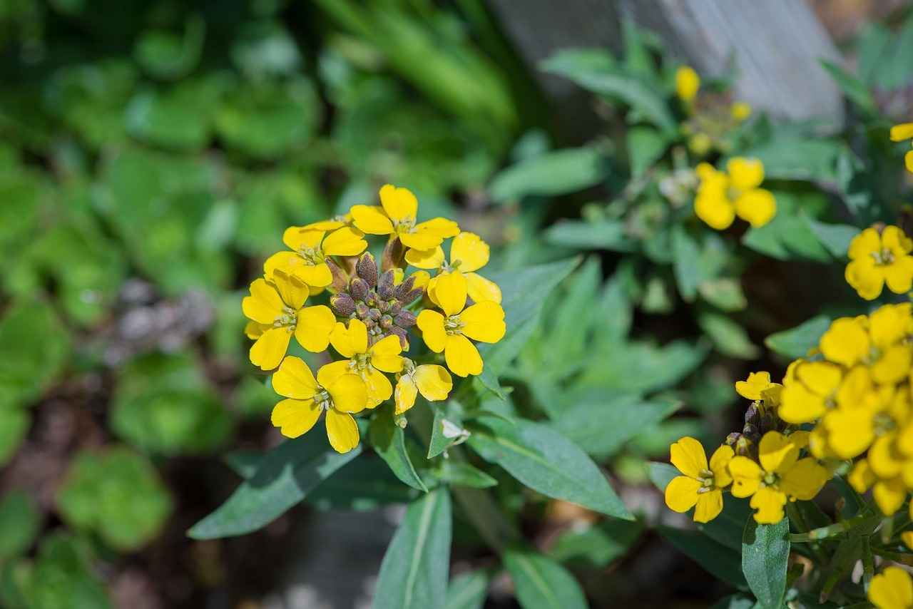 Popular Materials for Headboard Cushions