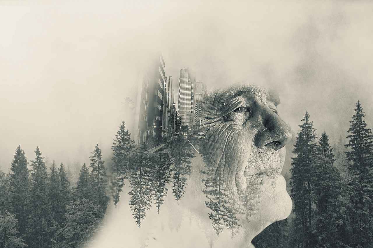 8. Double Bed Design Trends for 2023