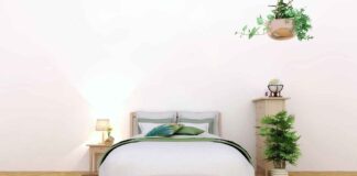 Budget-Friendly Bed Designs: How to Find Affordable Yet Stylish Options Budget-Friendly Bed Designs: How to Find Affordable Yet Stylish Options