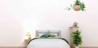 Budget-Friendly Bed Designs: How to Find Affordable Yet Stylish Options Budget-Friendly Bed Designs: How to Find Affordable Yet Stylish Options