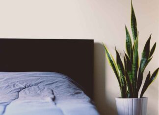 Chic & Comfortable Bed Design Back Side Inspirations Chic & Comfortable Bed Design Back Side Inspirations