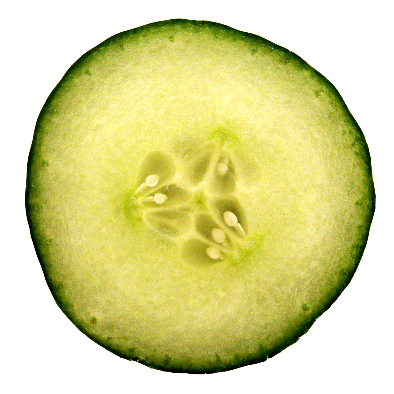 Circle Bed Designs: A Unique Twist on Traditional Bed Shapes 4 How to Choose the Right Circle Bed