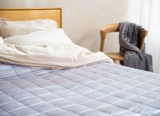 Cozy and Modern Bed Design with Cushion for Extra Comfort Cozy and Modern Bed Design with Cushion for Extra Comfort