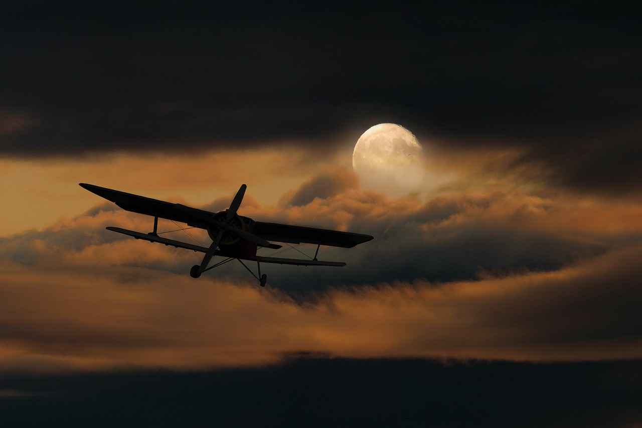 Double Bed with Storage: The Ultimate Design for Functionality and Style 2 Benefits of Double Beds with Storage