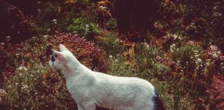 Elegant Bed Design Furniture: Latest Trends You Must See Elegant Bed Design Furniture: Latest Trends You Must See