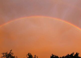 Elegant & Unique Double Bed Sirana Design for a Royal Look Elegant & Unique Double Bed Sirana Design for a Royal Look