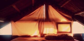 Explore the Best Round Bed Designs for Your Bedroom Explore the Best Round Bed Designs for Your Bedroom