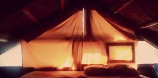 Explore the Best Round Bed Designs for Your Bedroom Explore the Best Round Bed Designs for Your Bedroom