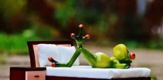 Foldable Bed Designs: Practical Solutions for Small Rooms Foldable Bed Designs: Practical Solutions for Small Rooms