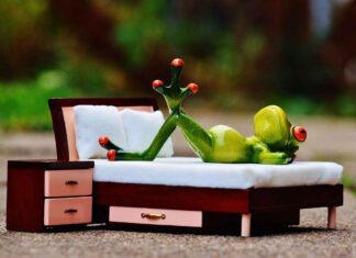 Foldable Bed Designs: Practical Solutions for Small Rooms Foldable Bed Designs: Practical Solutions for Small Rooms