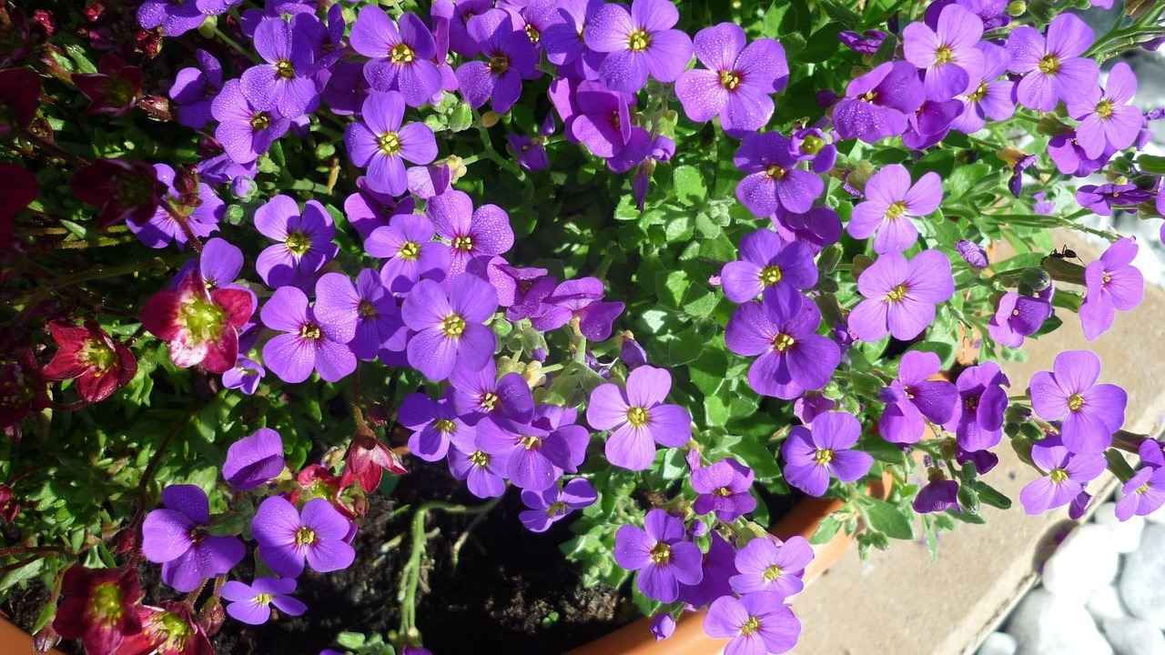 2. Popular Materials for Headboard Cushions