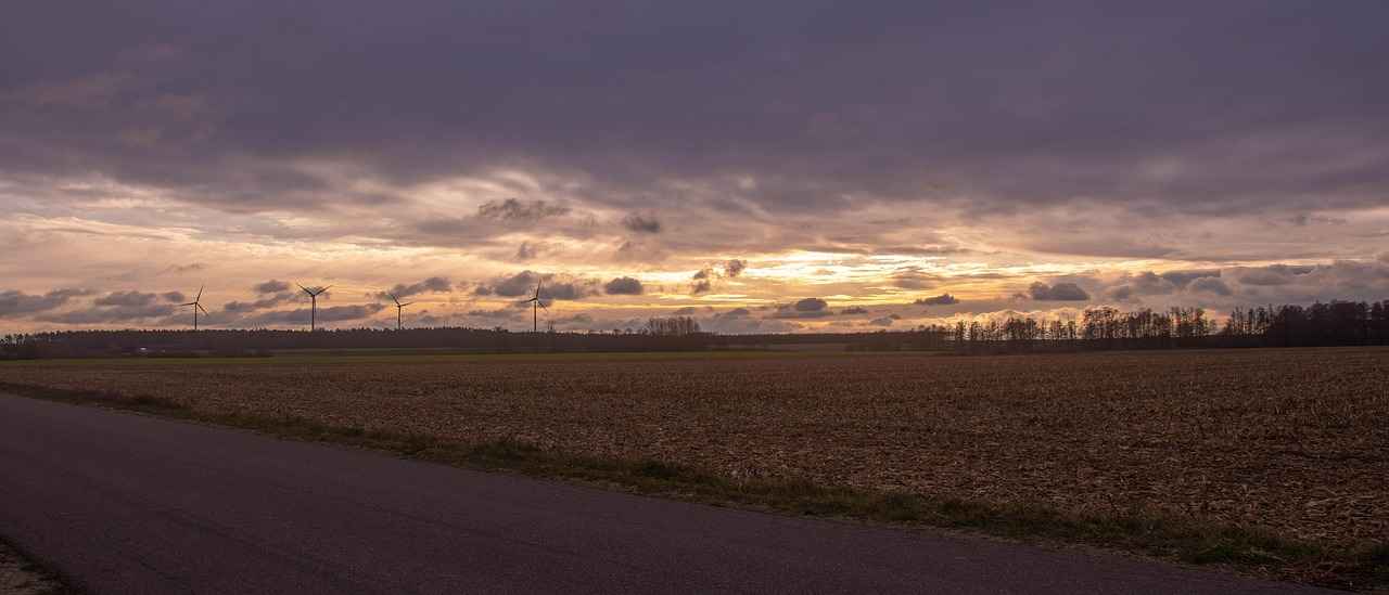 How Bed Design Has Evolved Over the Years: A Timeline of Trends 4 Eco-Friendly Bed Designs