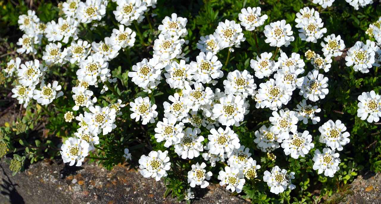 How to Incorporate Bed Headrest Cushion Designs for Extra Comfort 3 Popular Headrest Cushion Styles