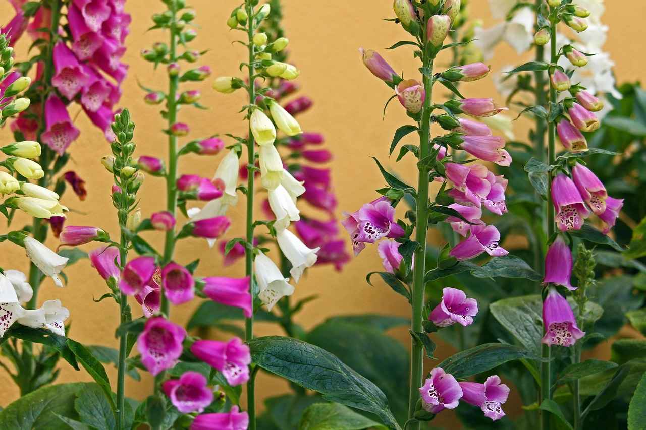 Kids Bed Design: Fun and Functional Beds for Your Little Ones 2 2. Popular Kids Bed Styles