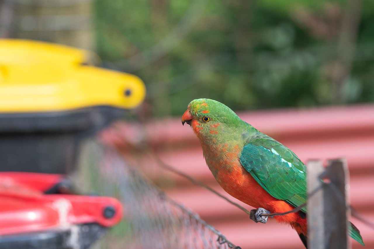 King Size Bed Designs: The Ultimate Guide to Spacious Bedroom Ideas 4 4. Layout Ideas for King Size Beds