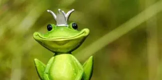 King Size Wooden Bed Design Ideas for a Luxurious Bedroom King Size Wooden Bed Design Ideas for a Luxurious Bedroom