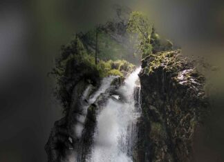 Latest Double Bed Design Trends: Which Style is Right for You? Latest Double Bed Design Trends: Which Style is Right for You?