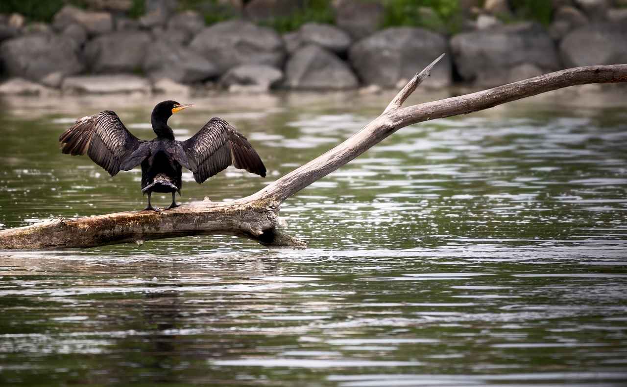 Latest Double Bed Design Trends: Which Style is Right for You? 4 Bold Color Palettes