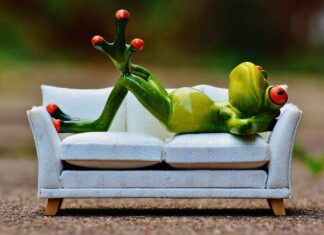 Latest Sofa Cum Bed Design Ideas for Smart Living Spaces Latest Sofa Cum Bed Design Ideas for Smart Living Spaces