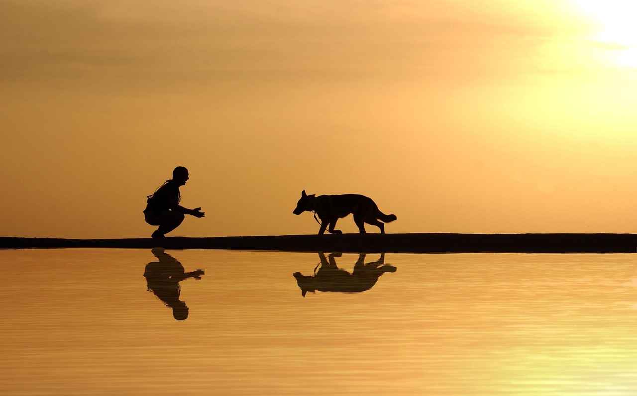 4. Bedding Essentials for a Cozy Atmosphere