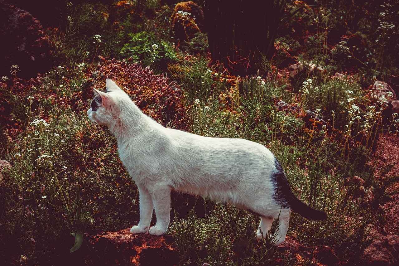 New Bed Design Inspirations You Need to See in 2025 1 Trendy Bed Styles for 2025