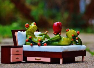 New King Size Bed Design Trends You Can’t Miss in 2025 New King Size Bed Design Trends You Can’t Miss in 2025