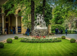 Queen Bed Design Ideas for a Cozy and Stylish Bedroom Queen Bed Design Ideas for a Cozy and Stylish Bedroom