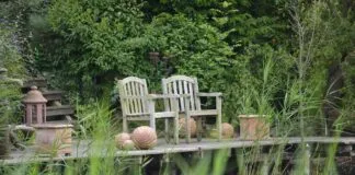 Space-Saving Bed with Almirah Design Ideas for Small Rooms Space-Saving Bed with Almirah Design Ideas for Small Rooms