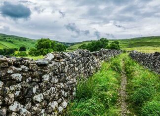 Space-Saving Wall Folding Bed Design Ideas for Small Apartments Space-Saving Wall Folding Bed Design Ideas for Small Apartments