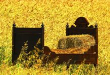 The Best Bed Design 2020: Latest Trends Still in Style The Best Bed Design 2020: Latest Trends Still in Style