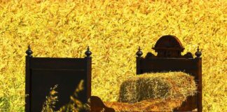 The Best Bed Design 2020: Latest Trends Still in Style The Best Bed Design 2020: Latest Trends Still in Style