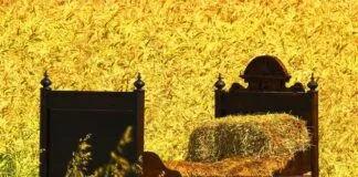 The Best Bed Design 2020: Latest Trends Still in Style The Best Bed Design 2020: Latest Trends Still in Style