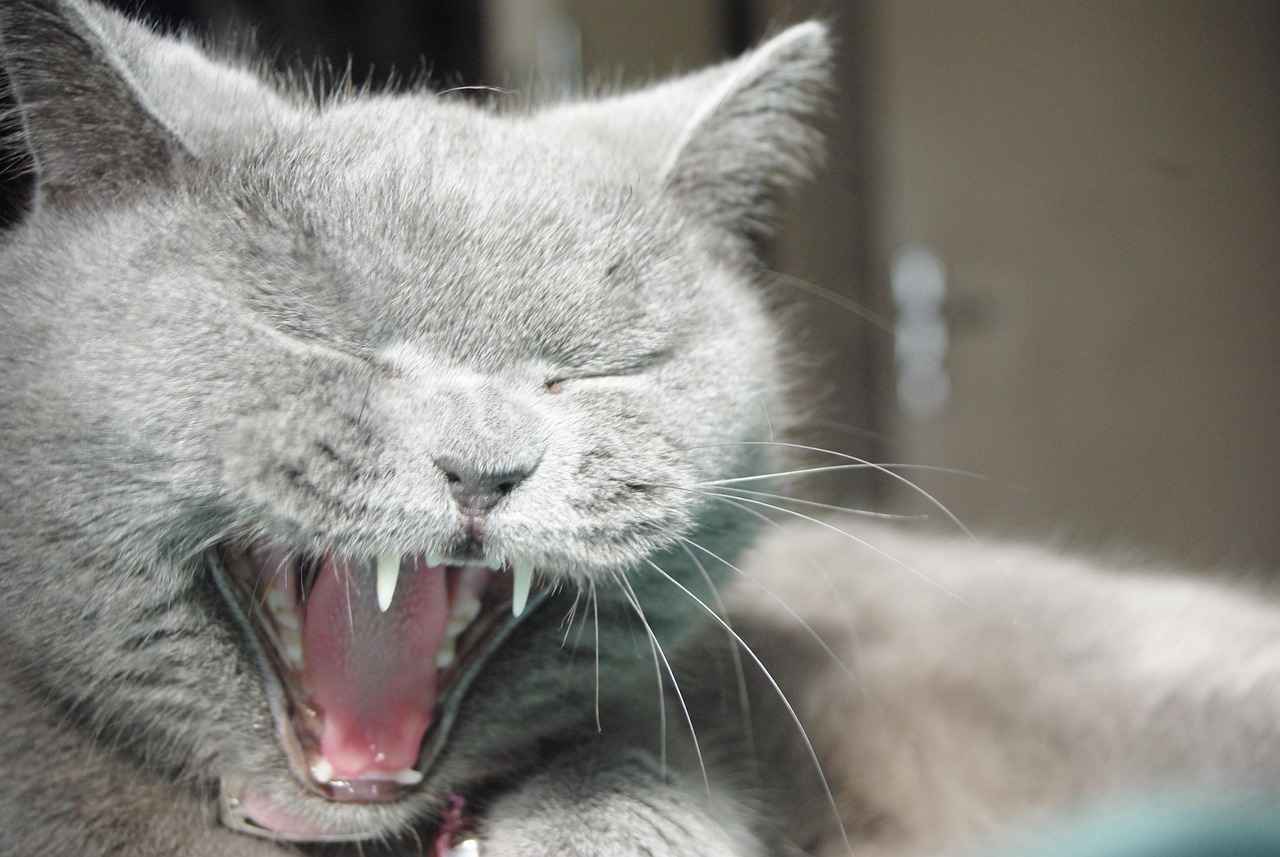 Eco-Friendly Materials and Sustainable Designs