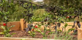 The Best Bed Headrest Cushion Design Ideas for Extra Comfort The Best Bed Headrest Cushion Design Ideas for Extra Comfort