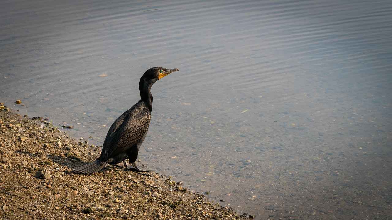 The Best Double Bed Design with Storage for Small Bedrooms 2 Types of Storage Beds