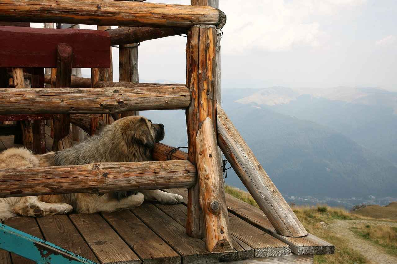 The Best Wooden Bed Designs for a Rustic, Cozy Home The Best Wooden Bed Designs for a Rustic, Cozy Home