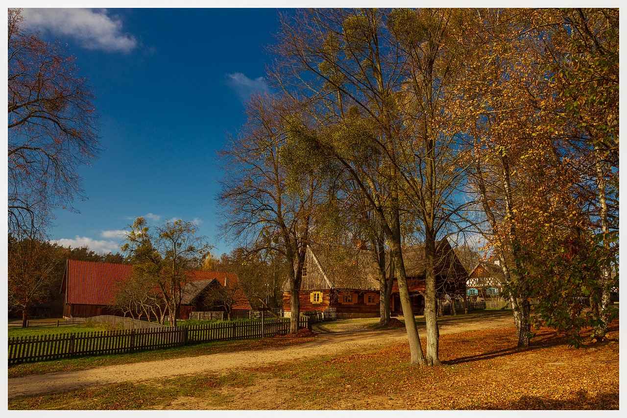 The Best Wooden Bed Designs for a Rustic, Cozy Home 12 12. Final Thoughts on Rustic Wooden Bed Designs