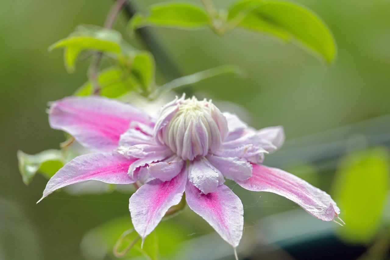 Functional Features in Modern Double Bed Designs