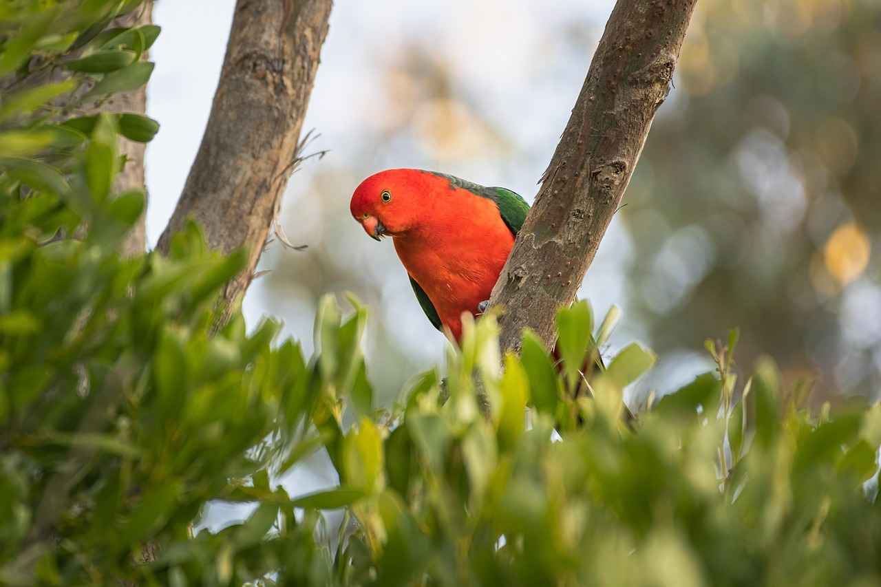 9. Bold Color King Size Beds