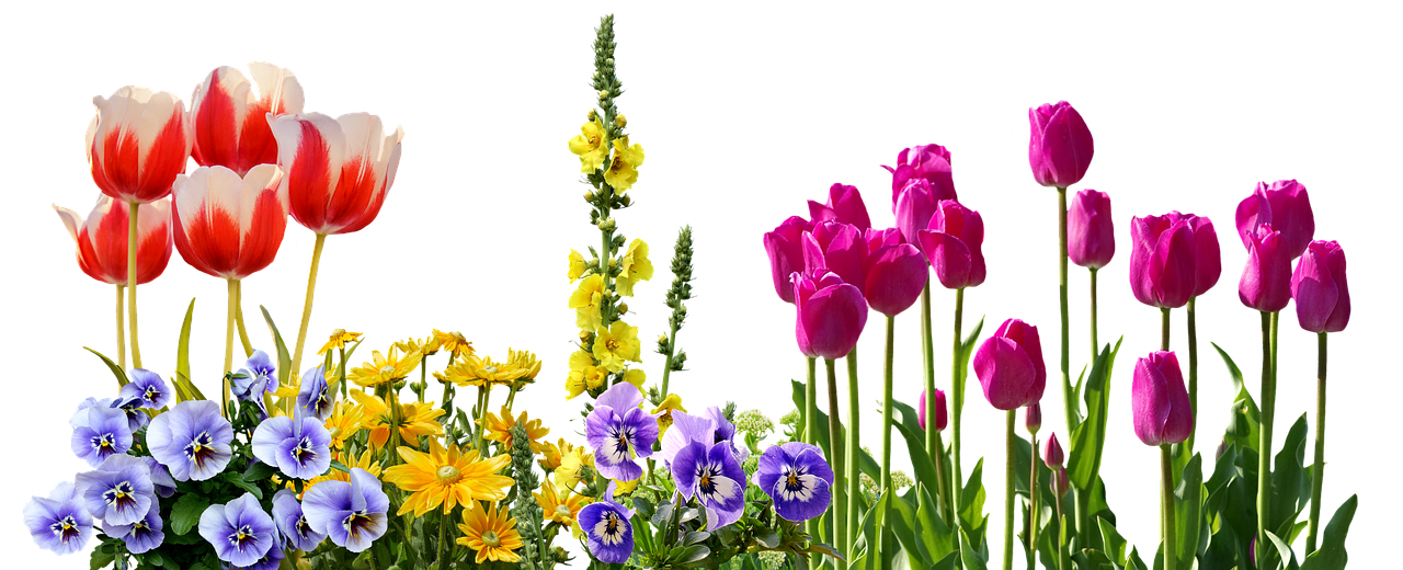 4. Contemporary Double Bed Designs