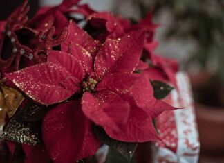 Unique & Adorable Modern Laddu Gopal Bed Design Inspirations Unique & Adorable Modern Laddu Gopal Bed Design Inspirations